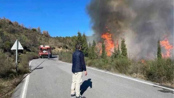 Μεγαλόπολη: Μεγάλη φωτιά σε δασική έκταση