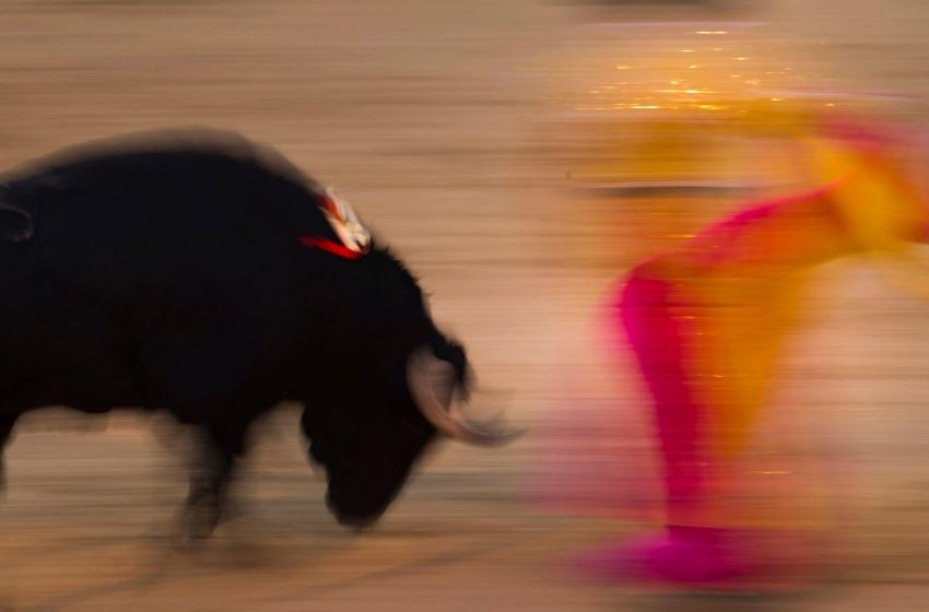 Η Κοκκινοσκουφίτσα την πατάει…