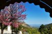 Θερμοκρασιακά ρεκόρ σε πολλές περιοχές – Ο καιρός τη Δευτέρα του Πάσχα