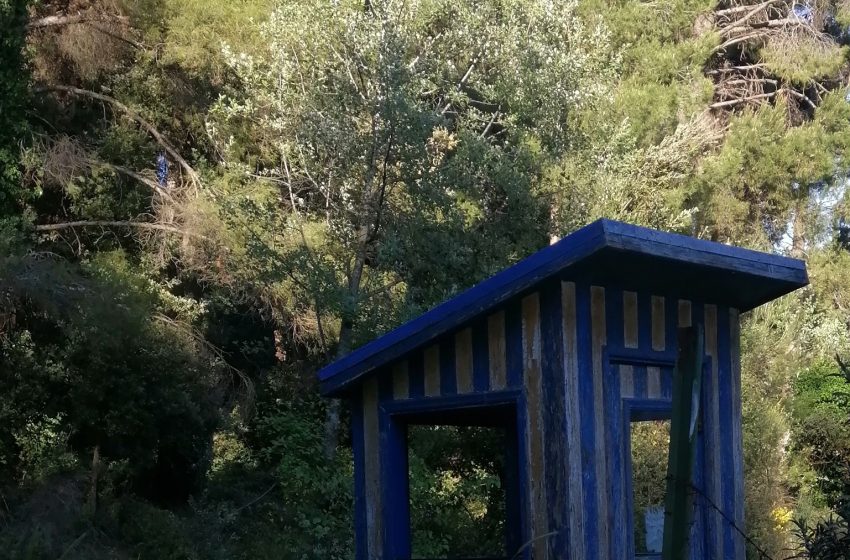 Η άγνωστη σύγκρουση για το Τατόϊ: Γκολφ, σπα και “πεντάστερα” ή πάρκο και ήπια ανάπτυξη;