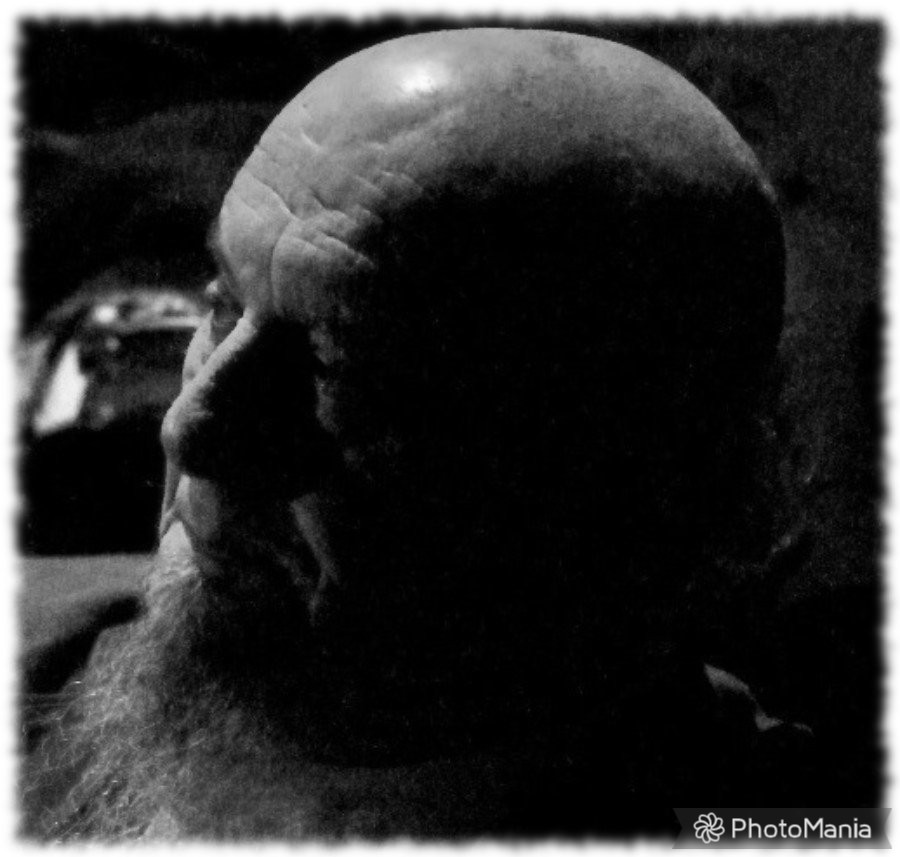 ΠΑΝΟΣ ΘΕΟΔΩΡΙΔΗΣ