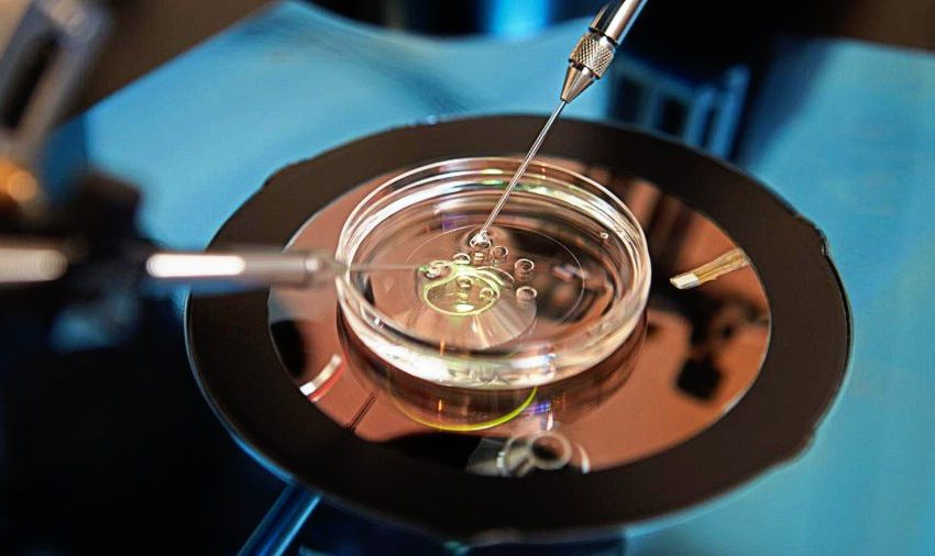 Μαύρη αγορά ωαρίων: Η σκοτεινή πλευρά της γονιμότητας