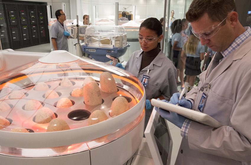 Neuralink – Max Hodak: Το πραγματικό Jurassic Park είναι μέσα στα όρια των δυνατοτήτων μας