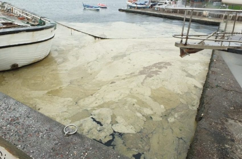 Πινάρ Τσακίρογλου/ Ο θάνατος μιας θάλασσας: Ο Μαρμαράς ασφυκτιά