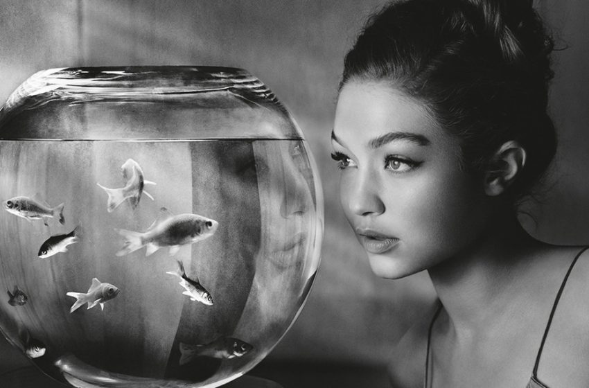 Creating Photographs: Οδηγός για διαχρονική φωτογραφία από τον Albert Watson