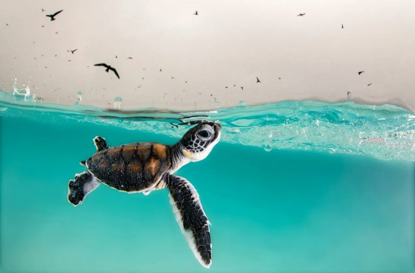 Οταν σε ρίχνουν στα βαθιά