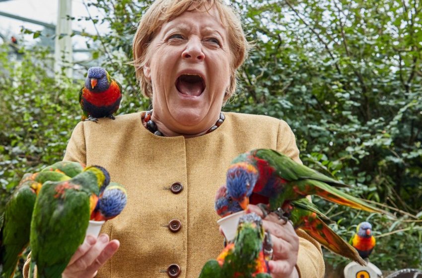 Η Μέρκελ και τα παπαγαλάκια