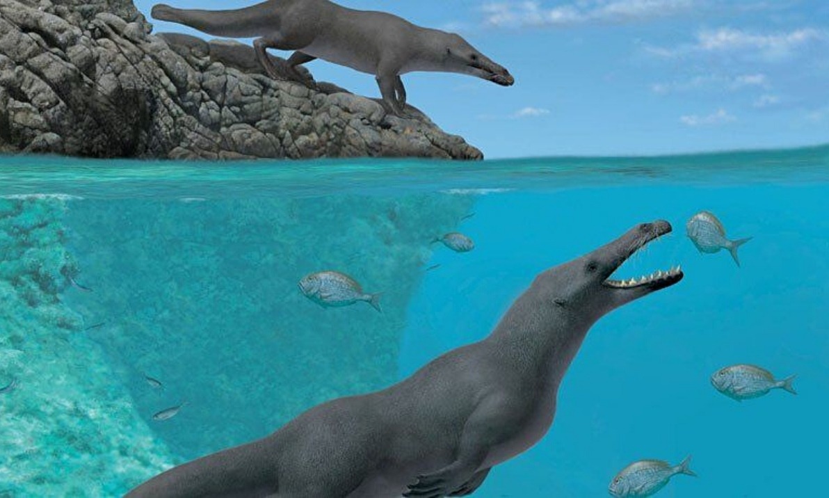 Όταν οι φάλαινες περπατούσαν