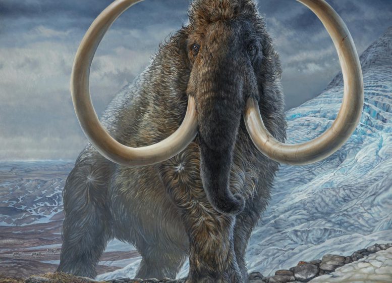 Επιστήμονες σκοπεύουν να επαναφέρουν την ύπαρξη των μαμούθ