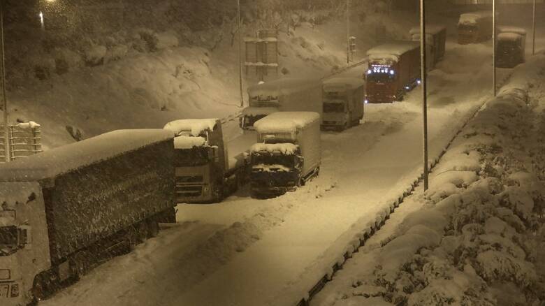 Χωρίς Ελπίδα: Από την ατομική ευθύνη στην ατομική επιβίωση