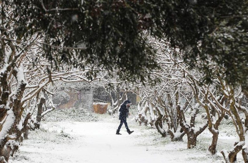 Prorata: Τι λένε οι πολίτες για τη διαχείριση της κακοκαιρίας και την κυβέρνηση