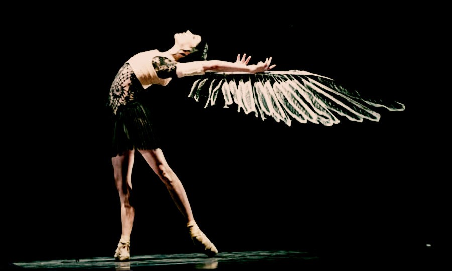 Η λίμνη των κύκνων, ο Τσαϊκόφσκι και η Ουκρανία