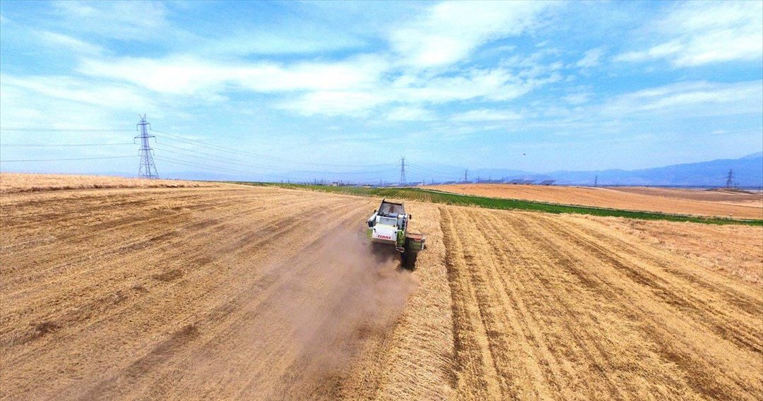 «Χωρίς την Ουκρανία δεν υπάρχει επάρκεια τροφίμων»