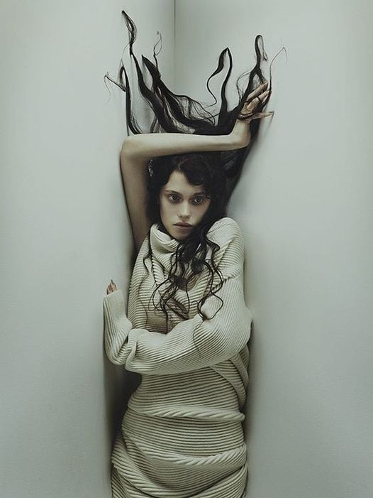 Vegan vs Παμφάγων