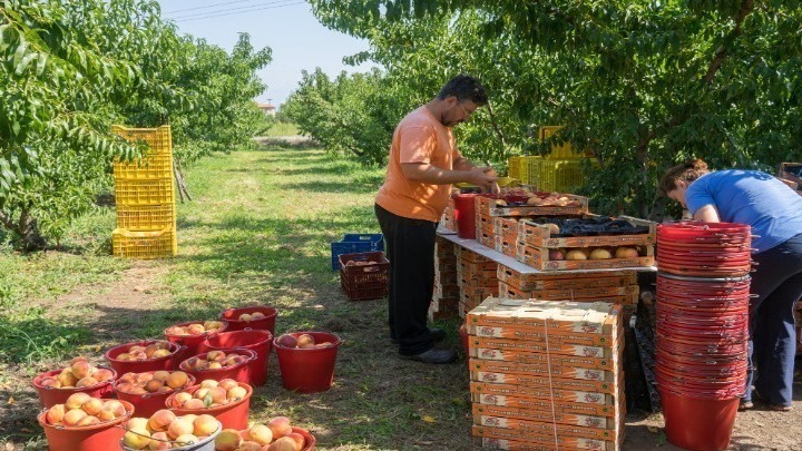 Mέτρα για τη ζημιά του πολέμου περιμένουν οι έλληνες παραγωγοί – Που θα πάνε τα προϊόντα τους