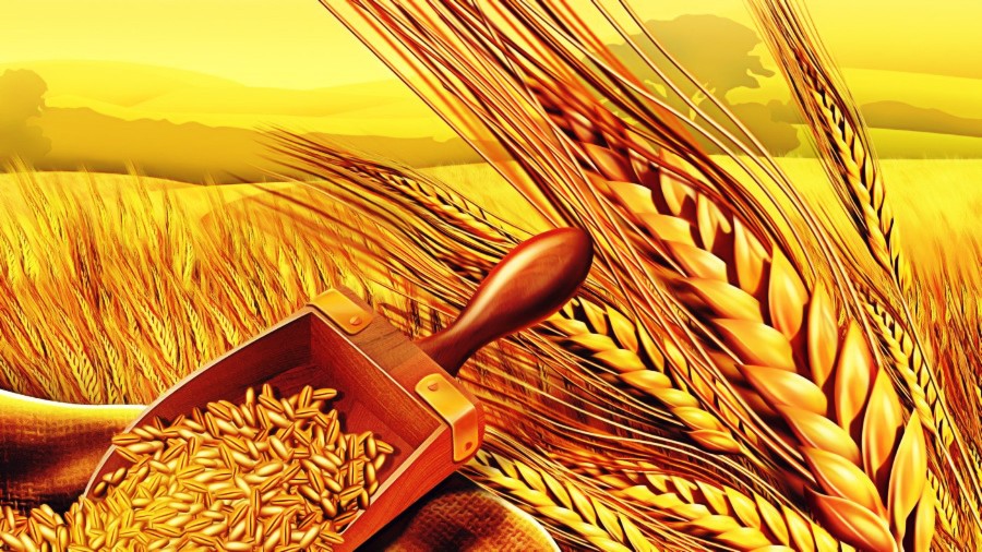 Η επερχόμενη επισιτιστική κρίση και εμείς