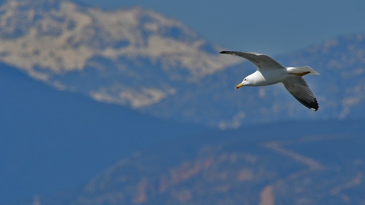 Διατήρηση του άστατου καιρού με τοπικές βροχές, καταιγίδες, ακόμη και χαλαζοπτώσεις