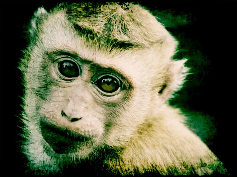 Ο εφιάλτης επιστρέφει: Σκέψεις για καραντίνα 21 ημερών και στην Ελλάδα για την…