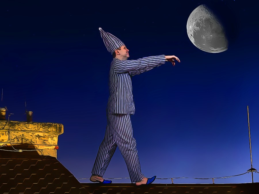 Ο Ευρωπαίος υπνοβάτης