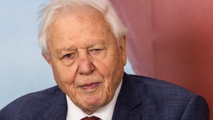 Ο Σερ Ντέιβιντ Ατένμπορο μας ξεναγεί στην άγρια φύση της Βρετανίας