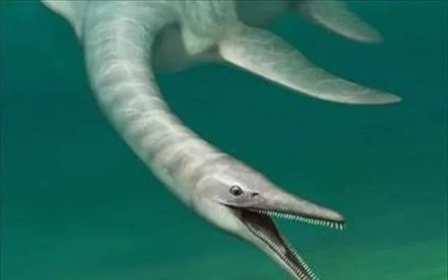 Ανακαλύφθηκε πανάρχαιος «κροκοδειλόσαυρος»