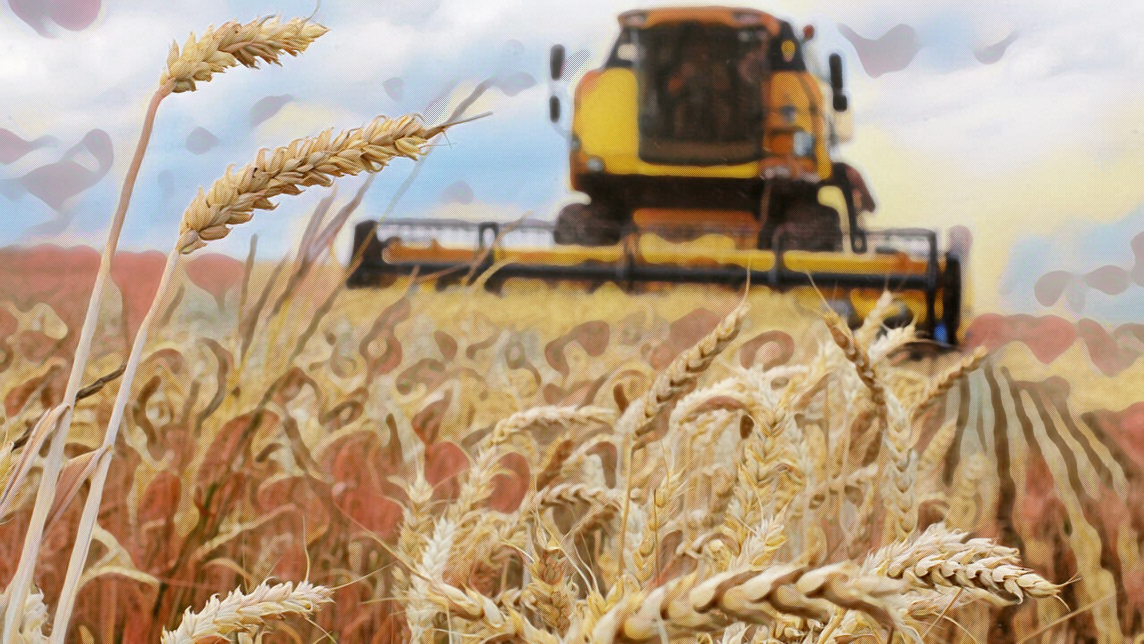 Κλιματική αλλαγή, πολεμικές συρράξεις και οικονομικές κρίσεις, οι κύριοι λόγοι για ευρεία επισιτιστική&hellip;