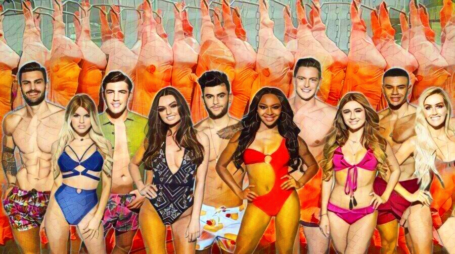 Reality τύπου «GNTM» και «Love Island»: Η κυνική εκδοχή του συναισθηματισμού