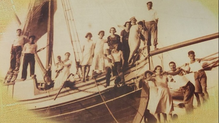 Το «τραύμα» των απολυμαντηρίων