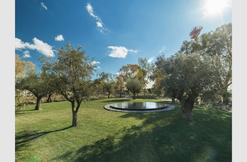 Lamda Development: Σε πλήρη εξέλιξη μία από τις μεγαλύτερες μεταφυτεύσεις δέντρων στο Ελληνικό