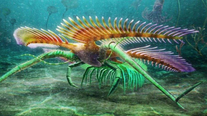 Βρέθηκε εξαιρετικά σπάνιο και πανάρχαιο απολίθωμα τυφλού πλάσματος