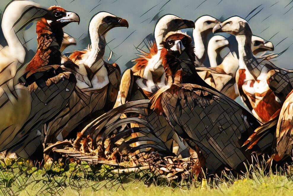Χάρης Μαυρουδής προς “ακροβολισμένους παπαράτσι”: Σεβαστείτε τις δύσκολες στιγμές που βιώνουμε