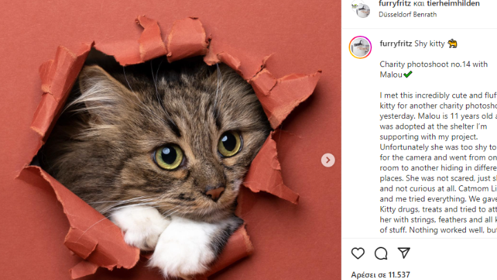 Ο «γατογράφος» Nils Jacobi