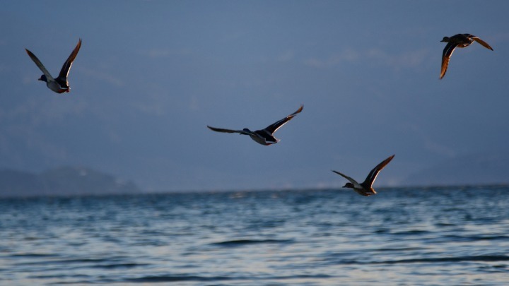 Καιρός: Από τη ζέστη στη… χειμωνιάτικη ανατροπή