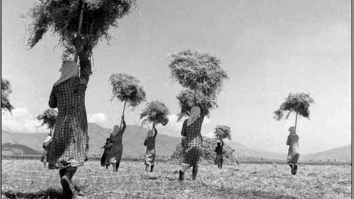 Πρώτη πανελλαδική προβολή ταινίας για τον φωτογράφο Τάκη Τλούπα