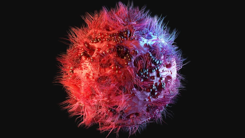 Τέταρτος ασθενής θεραπεύτηκε από τον HIV με μεταμόσχευση βλαστοκυττάρων