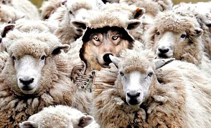 Ο βοσκος, τα πρόβατα, το τείχος και το Σύνταγμα