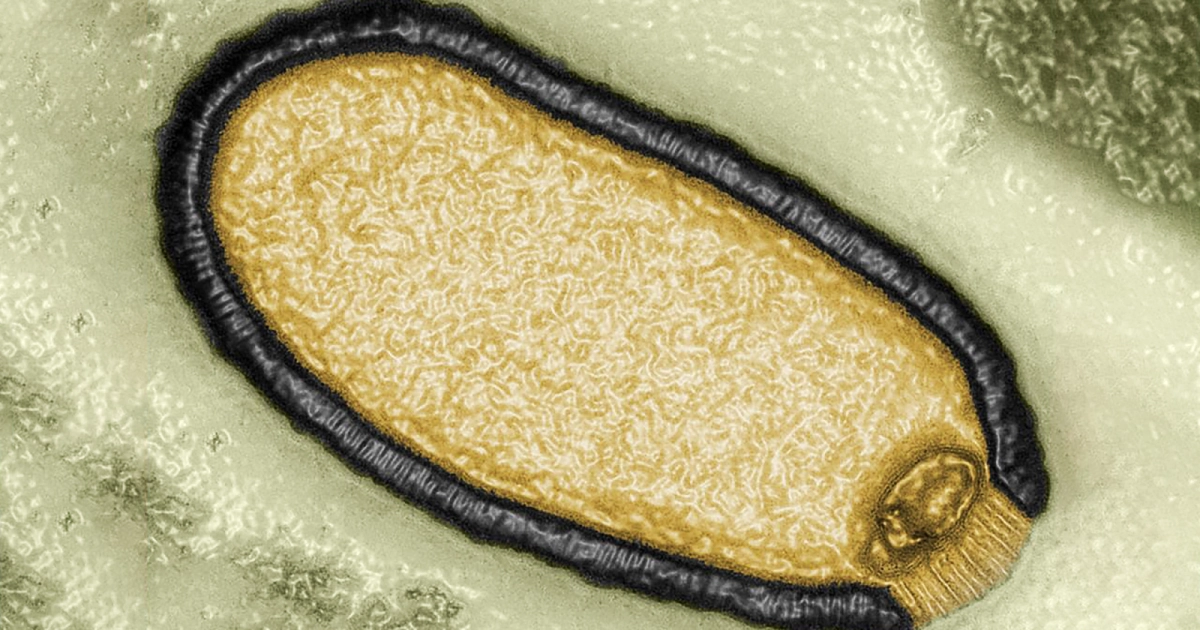 ΠΟΥ: Πιθανή μία νέα θανατηφόρα πανδημία – Τι είναι η “Νόσος Χ”&hellip;