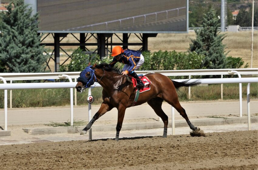 Markopoulo Park: 29 νικητές στο ΣΚΟΡ 6 κέρδισαν από 848 ευρώ