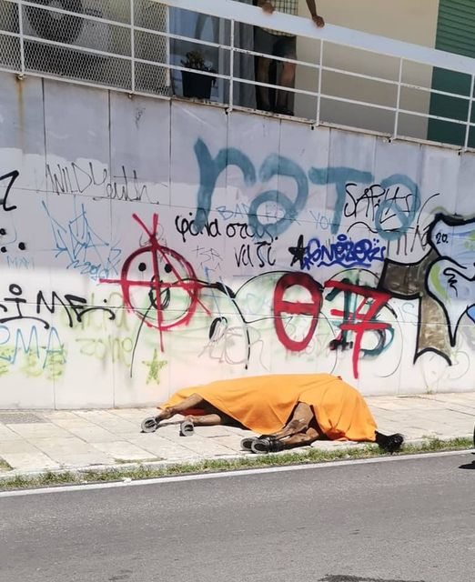 Κέρκυρα: Νεκρό άλογο τουριστικής άμαξας από υπερκόπωση στην υπερβολική ζέστη