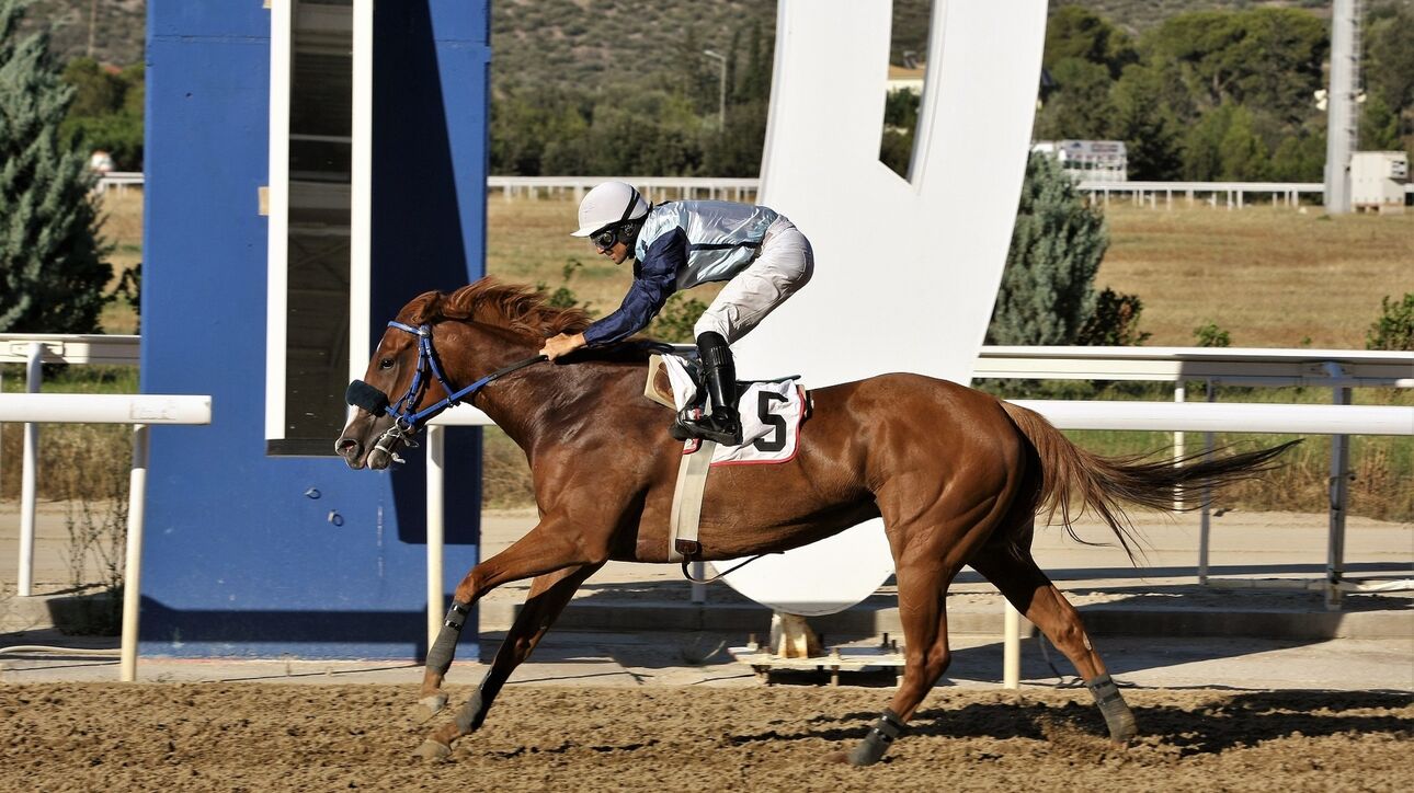 Markopoulo Park: Μεγάλα κέρδη για τρεις νικητές στο ΣΚΟΡ 6