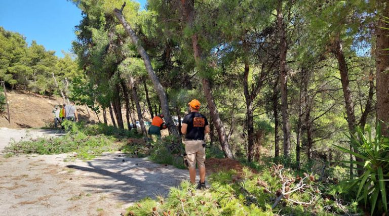 Ευθύμιος Λέκκας: Ανάγκη για αλλαγή στρατηγικής στην αντιπυρική προστασία