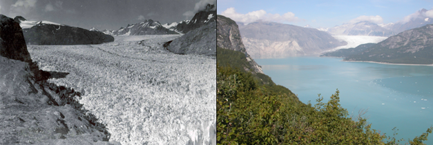 Εικόνα 1 – Η ανθρωπογενής κλιματική αλλαγή επηρεάζει όλα τα μέρη του πλανήτη με αποτέλεσμα να βιώνουν εκτεταμένες και ραγδαίες αλλαγές όπως φαίνεται χαρακτηριστικά από την υποχώρηση του παγετώνα Muir στην Αλάσκα την περίοδο 1941-2004. Πηγή: NASA Images of Change