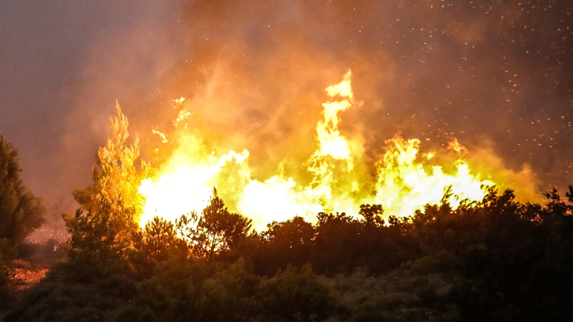 Πυρκαγιά στον Έβρο: Απανθρακώθηκαν 18 μετανάστες στο δάσος της Δαδιάς