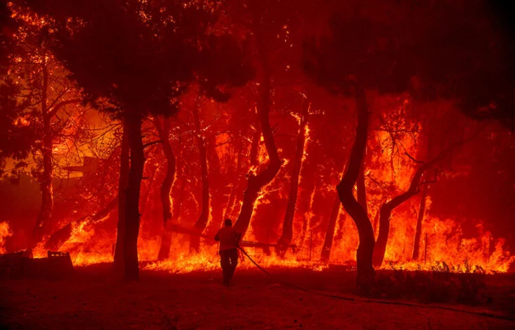 Τραγική αποτυχία της αντιπυρικής προστασίας: Μέχρι τέλος Ιουλίου κάηκαν 30% περισσότερες εκτάσεις από τον ετήσιο μέσο όρο