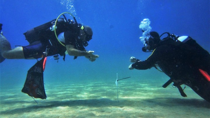 Η συμβολή της καταδυτικής ομάδας ΙΝΑΛΕ στο περιβάλλον και την πολιτιστική κληρονομιά