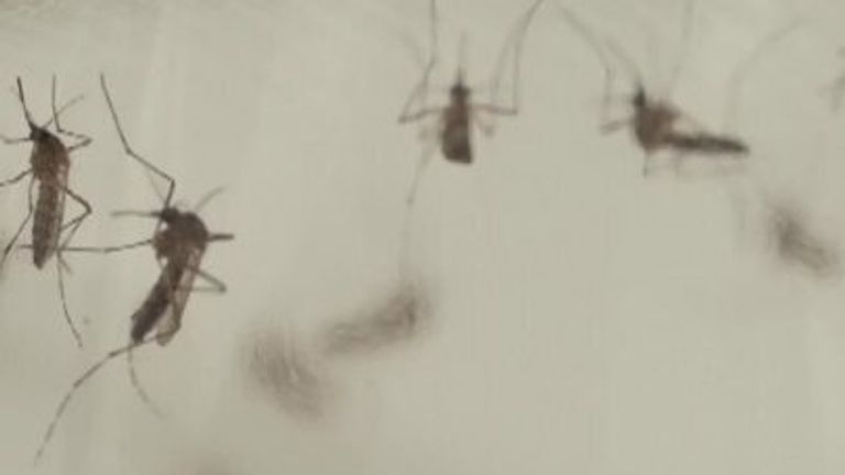 Μαγιορκίνης: Κίνδυνος να μεταδοθούν ασθένειες από μολυσμένα νερά των πλημμυρών