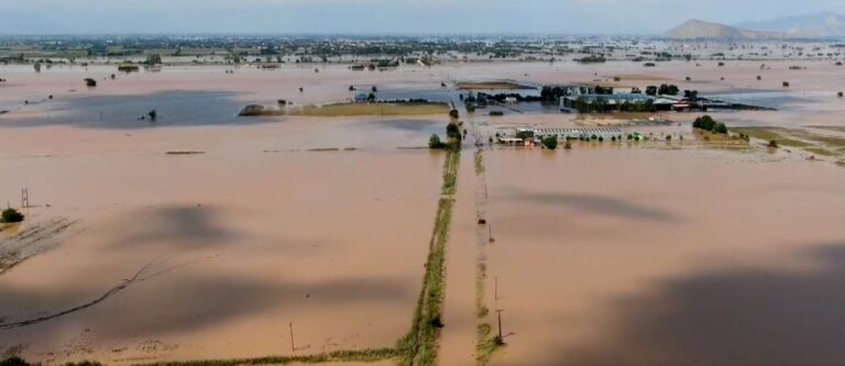 Η κατεστραμμένη παραγωγή δεν πρέπει να μπει στη διατροφική αλυσίδα μέσω των ζωοτροφών