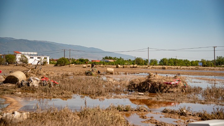 Δανάη Κολτσίδα / Κάποιοι ευθύνονται και πρέπει να λογοδοτήσουν