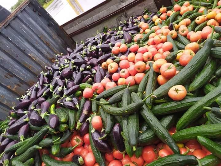 Πλημμύρες στη Θεσσαλία: Πόσο θα επηρεάσουν τις τιμές των αγροτικών προϊόντων