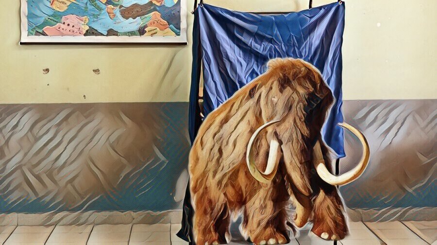 Το μαμούθ στο παραβάν